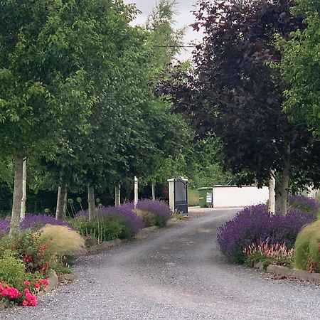 Swallow'S Rest Garden Apartment Ashbourne Exterior photo